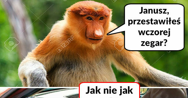 ...i to jeszcze jak!