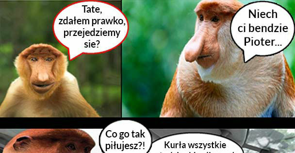 Kiedy Pioter zda prawko