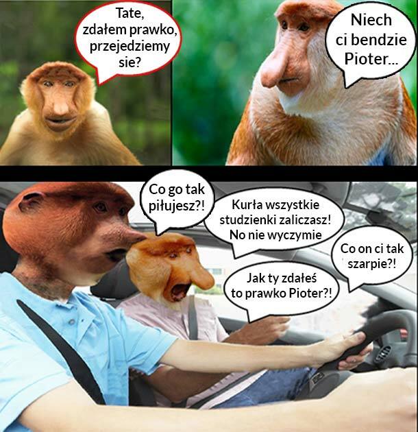 Kiedy Pioter zda prawko