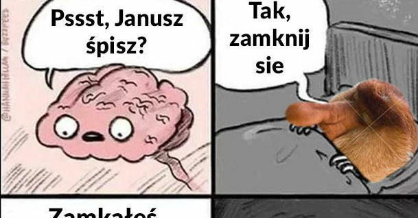 Mózg Janusza
