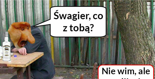 Szwagra poniósł melanż