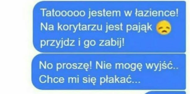 Ostatnie godziny życia :D 
