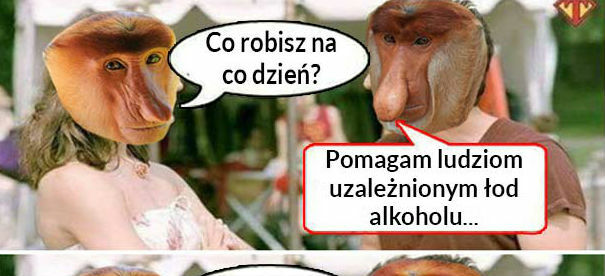 Co robisz na co dzień?