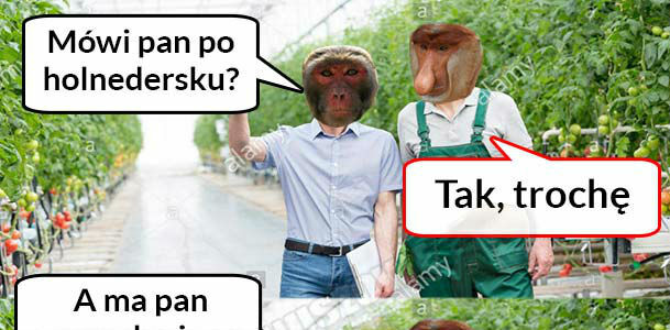 Janusz na saksach 