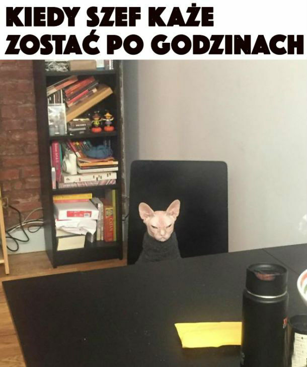 Szef kazał zostać :/ 