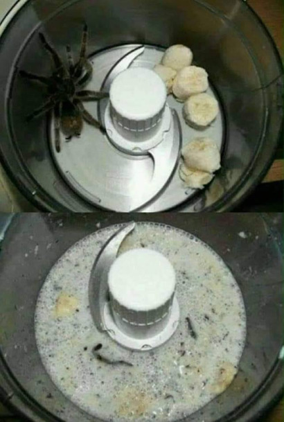 Banan ucieka przed pająkiem