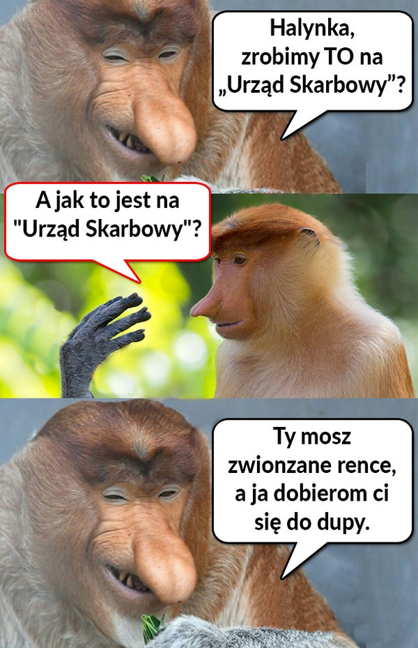 Halynka, zrobimy to na Urząd Skarbowy?