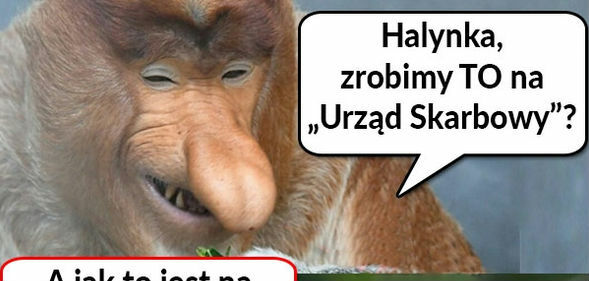 Halynka, zrobimy to na Urząd Skarbowy?