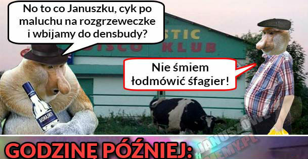 Dyskoteka gra :D