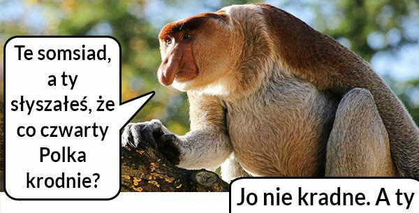 Kto kradnie?