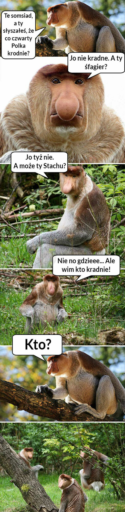 Kto kradnie?