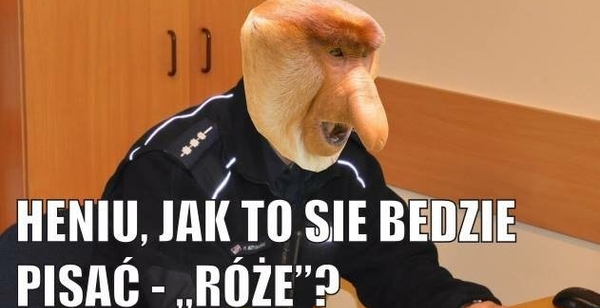 Problemy z ortografią 