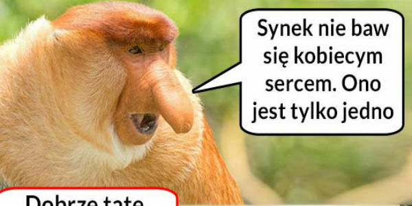 Synek, nie baw się sercem kobiety