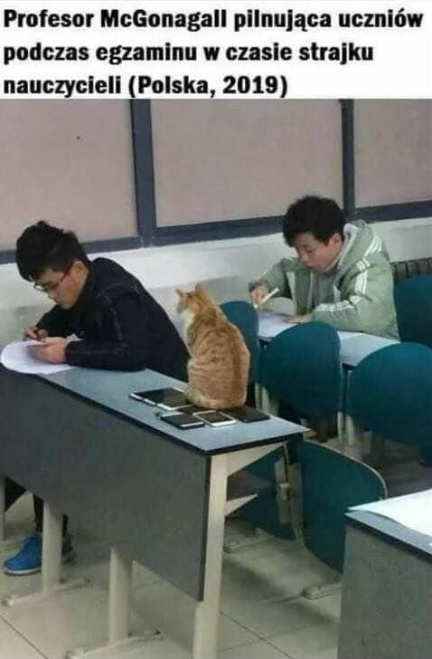 McGonagall na egzaminie