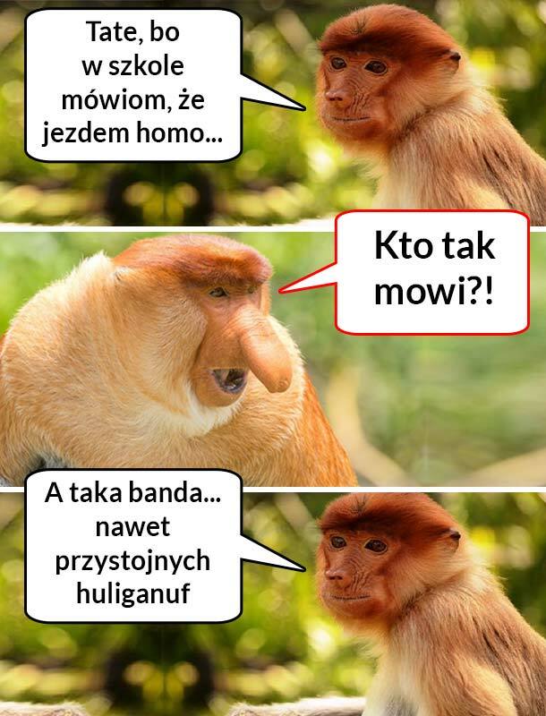W szkole mówio, że jezdem homo :( 