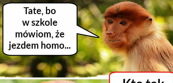 W szkole mówio, że jezdem homo :( 