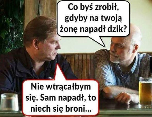 Kiedy dzik zaatakuje żonę... ;D