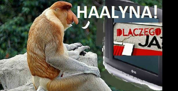 Dzisiejszy łobiod u Januszów