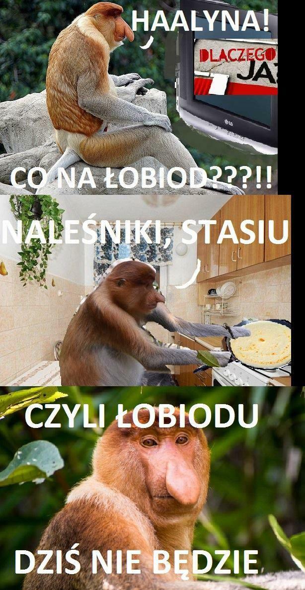 Dzisiejszy łobiod u Januszów
