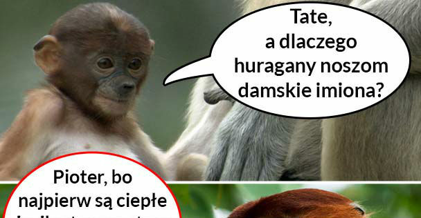 Damskie imiona huraganów. Zagadka rozwiązana :D