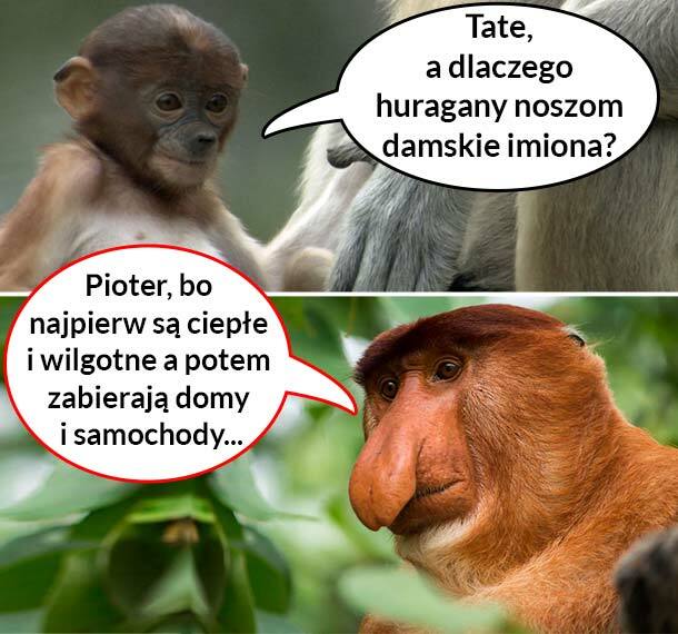 Damskie imiona huraganów. Zagadka rozwiązana :D