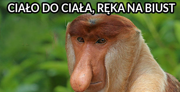 Januszowa piosenka :D