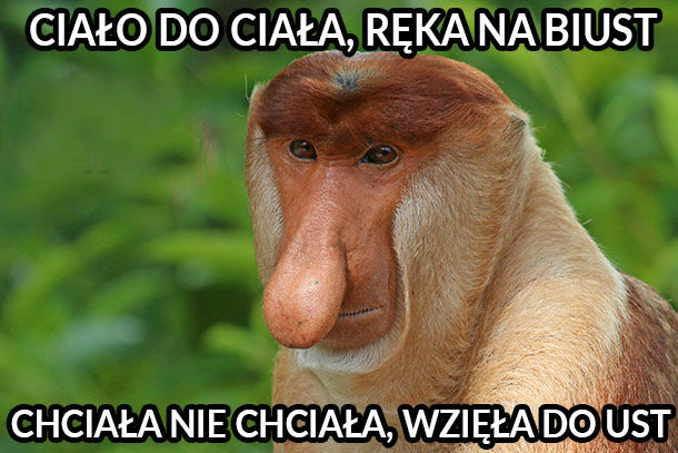 Januszowa piosenka :D