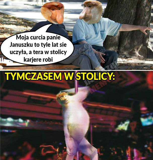 Kariera w stolicy :D