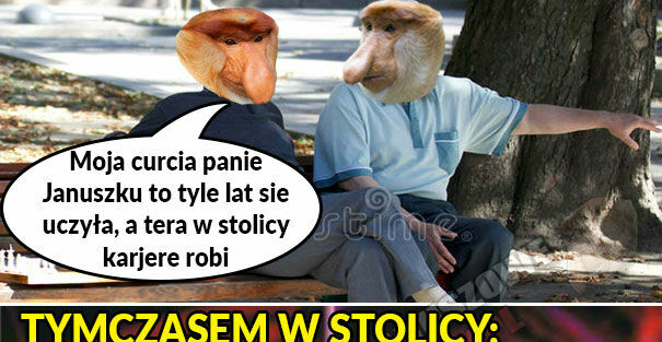 Kariera w stolicy :D