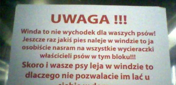 Wkurzony sąsiad