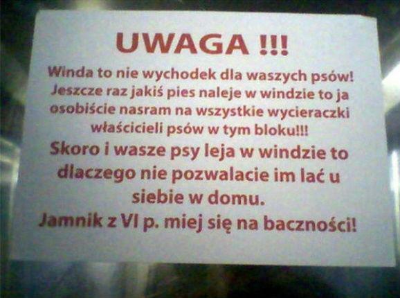 Wkurzony sąsiad