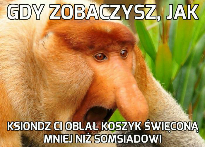 Kiedy ksiądz więcej poleje somsiadowi