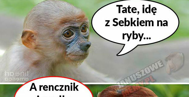 Tate, idę na ryby