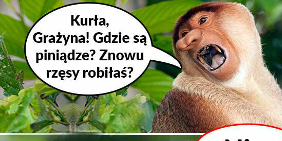 Gdzie są pieniądze Janusza?