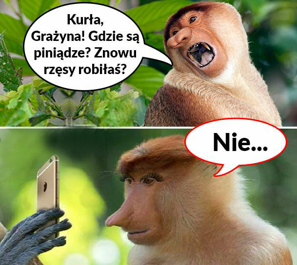 Gdzie są pieniądze Janusza?