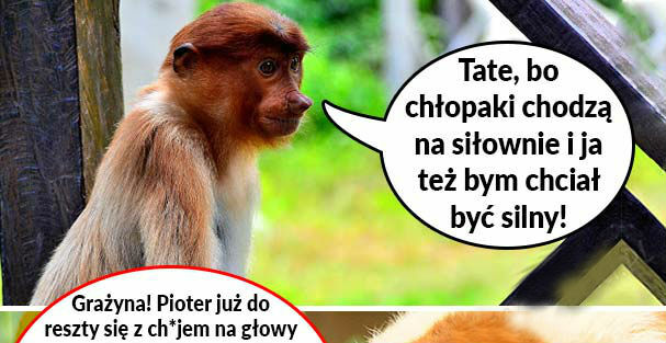 Siłownia u Janusza 