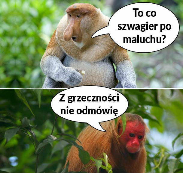 Szwagry w akcji :D