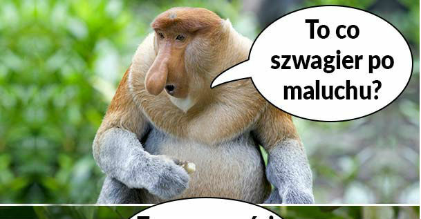 Szwagry w akcji :D