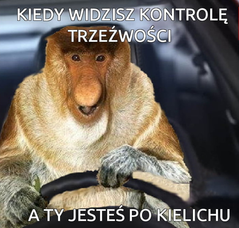 Kontrola trzeźwości