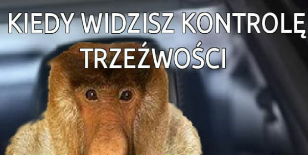 Kontrola trzeźwości