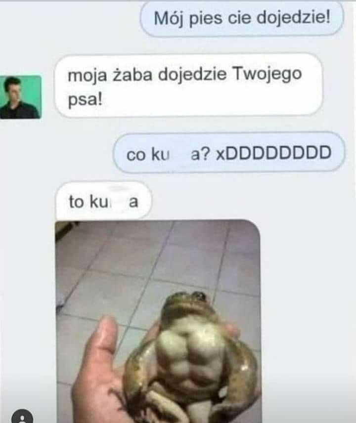 Mój pies cię dojedzie