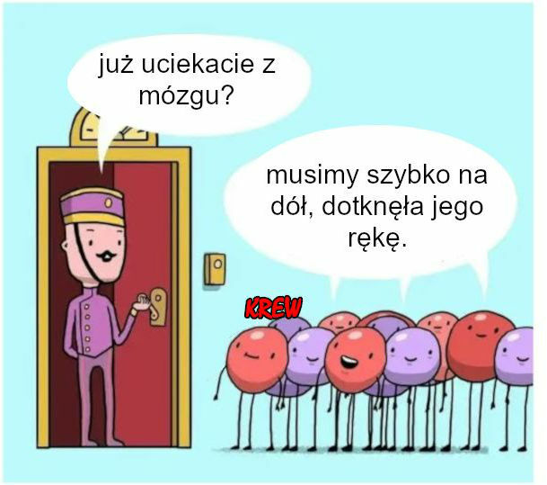 Już uciekacie z mózgu?