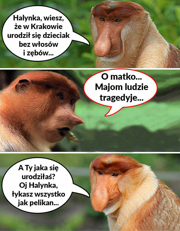 Dzieciak z Krakowa
