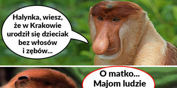Dzieciak z Krakowa