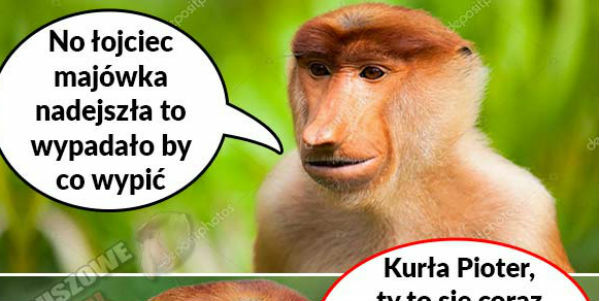 Majówka Pjotera