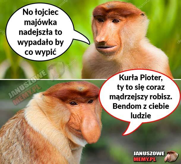 Majówka Pjotera