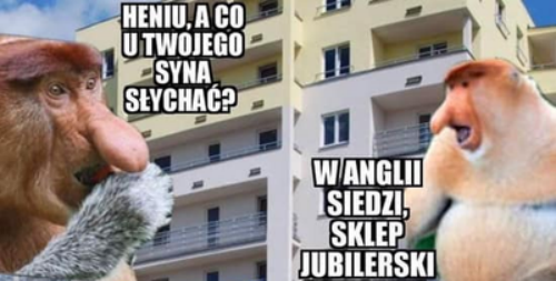 Co słychać u syna w UK? 
