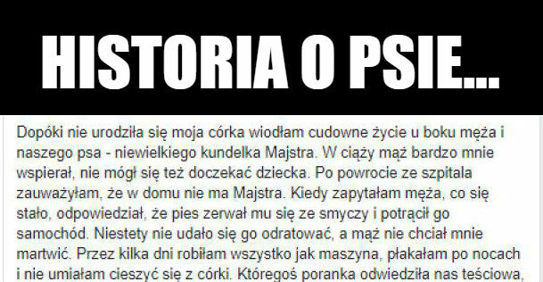 Zaskakująca historia o psie. Przeczytaj!