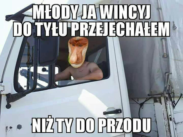 Janusz kierowca