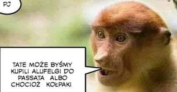 Janusz ma pomysł :D